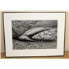 Image 1 : B&W Franco Salmoiraghi Canon Inkjet Print, Back Signed by Artist, Framed 41" x 31", Kau Desert Trail