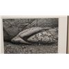 Image 2 : B&W Franco Salmoiraghi Canon Inkjet Print, Back Signed by Artist, Framed 41" x 31", Kau Desert Trail