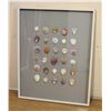 Image 1 : Large Framed Natural Seashells 33"W x 42"