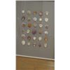 Image 2 : Large Framed Natural Seashells 33"W x 42"