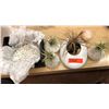 Image 1 : Succulent Planter, Decorative Sea Urchin Planters, Sea Shell, White Stones