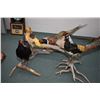 Image 1 : Lot of Four Stuffed Pheasants