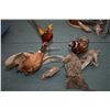 Image 1 : Lot of Three Items - Four Stuffed Pheasants Mounted on three Bases