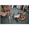 Image 1 : Lot of Three Items - Stuffed Canada Goose - Mallard Duck - Box Lot of Four Stufted Birds