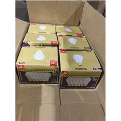 Globe Incandescent 100W Bulbs 6-Pack (6ct)