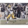 Image 1 : Derrius Guice Signed LSU Tigers 16x20 Photo (JSA COA)