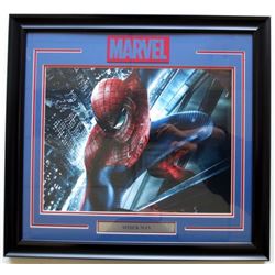 Spider-Man 26x27 Custom Framed Photo Display