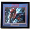 Image 1 : Spider-Man 26x27 Custom Framed Photo Display