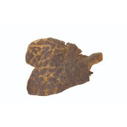 GODZILLA ‘98 PROP SKIN FRAGMENT