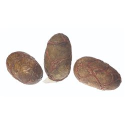 GODZILLA ‘98 EFFECTS GODZILLA EGG SET OF 3 SHOOTING MINIATURE PROPS