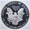 Image 3 : 1991-S SILVER EAGLE, TDCS PERFECT GEM PROOF DCAM