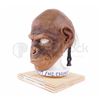 Image 2 : Planet Of The Apes Chimp Facial Prosthetic