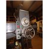 Image 2 : 4' Caser Radial Drill