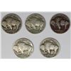 Image 2 : BUFFALO NICKEL LOT: