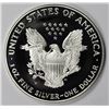 Image 2 : 2001 AMERICAN SILVER EAGLE