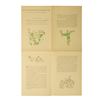 Image 2 : Snow White Animation Cel Exhibit Invitation.