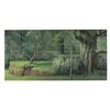 Image 1 : Sleeping Beauty Postcard Signed by Eyvind Earle.