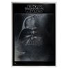 Image 1 : Star Wars Darth Vader Mylar Record Store Poster.