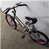 Image 3 : SILVER CROCODILE LEADER BIKE