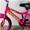 Image 2 : GIRLS PINK CHAMPION BIKE