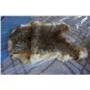 Image 1 : VINTAGE ANIMAL PELT