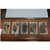 Image 3 : 2 FRAMED VINTAGE PRINTS