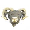 Image 9 : Mascot Ram Head Bust Bronze Sculpture