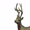 Image 5 : Hunting Male Deer Bronze Sculpture