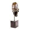 Image 3 : Skeleton Head Bust Halloween Bronze Sculpture
