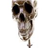 Image 9 : Skeleton Head Bust Halloween Bronze Sculpture