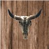 Image 2 : Steer Long Horns Wall Mounted Cold Cast Bronze Sculpture
