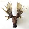 Image 1 : Cold Cast Bronze Moose Head Wall Mount Sculpture
