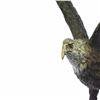 Image 5 : Stunning Eagle Genuine Hot Cast Bronze Statue on Marble Sculpture