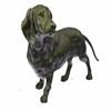 Image 1 : Basset Hound Dog Bronze Sculpture
