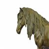 Image 6 : Arabian Horse Trophy Stallion Bronze Sculpture