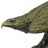 Image 2 : Falcon American Eagle Bronze Sculpture