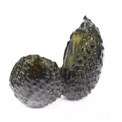 Avocado Bronze Sculpture