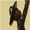 Image 2 : Pony Express Cowboy Bronze Sculpture
