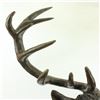 Image 3 : Elk Head Bust Bronze Stag Sculpture