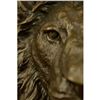 Image 2 : Bust Male LionBronze Sculpture