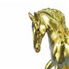 Image 6 : Gold Plexiglases Male Stallion Sculpture