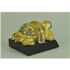 Image 6 : Gold Plexiglases Turtle Business Cardholder