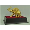 Image 3 : Gold Plexiglases African Elephant Sculpture