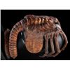 Image 10 : ALIEN (1979) - Special Effects Facehugger