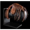 Image 11 : ALIEN (1979) - Special Effects Facehugger