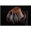 Image 12 : ALIEN (1979) - Special Effects Facehugger