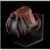 Image 1 : ALIEN (1979) - Special Effects Facehugger