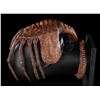 Image 22 : ALIEN (1979) - Special Effects Facehugger