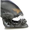 Image 4 : AVP: ALIEN VS. PREDATOR (2004) - Xenomorph Stunt Head