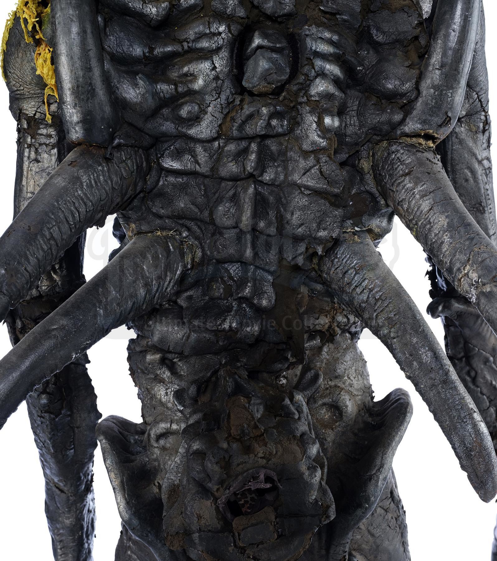 AVP: ALIEN VS. PREDATOR (2004) / AVPR: ALIENS VS. PREDATOR: REQUIEM